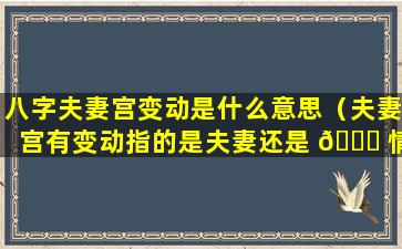 八字夫妻宫变动是什么意思（夫妻宫有变动指的是夫妻还是 🐒 情人）